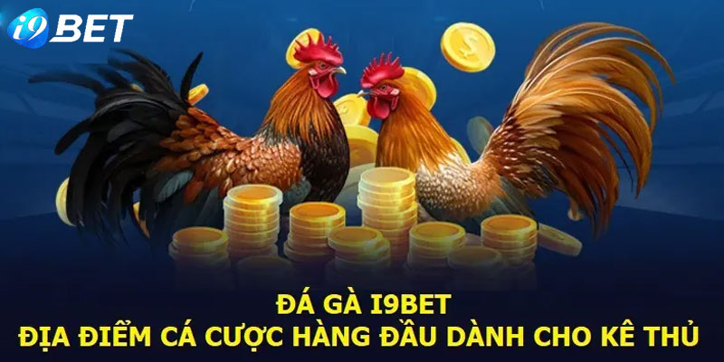 Đá gà cựa sắt trực tiếp